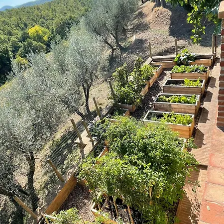 Villa La Fornace *